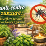 Piante contro le zanzare: quali funzionano davvero in casa, in giardino e sul balcone