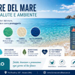 Il colore del mare: blu, verde, sabbia e sfumature che raccontano salute, natura e qualità dell’ambiente
